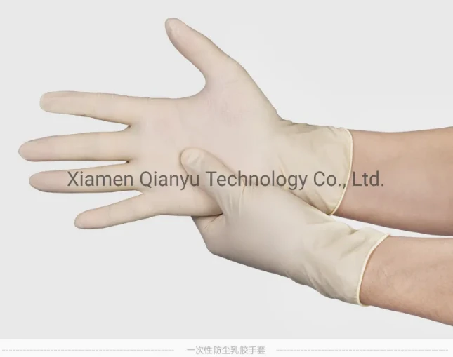 Latex Gloves -