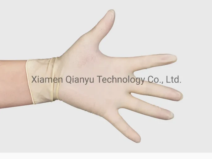 Latex Gloves (2)